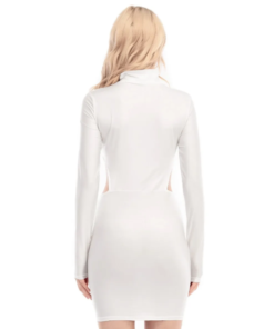 Alternative view of Monarch Wynn Waist Hollow Hip Dress
